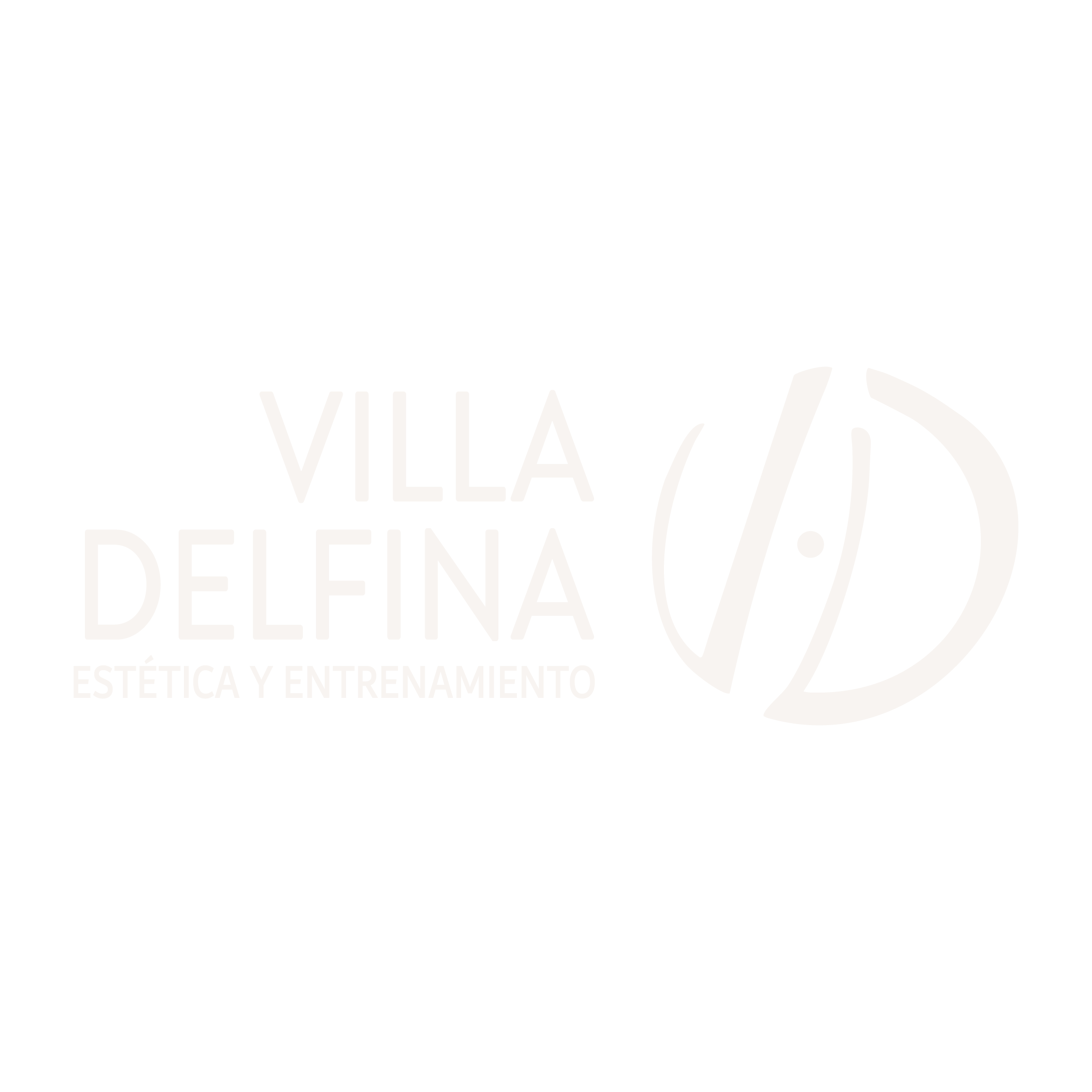 Villa Delfina – Estética y entrenamiento